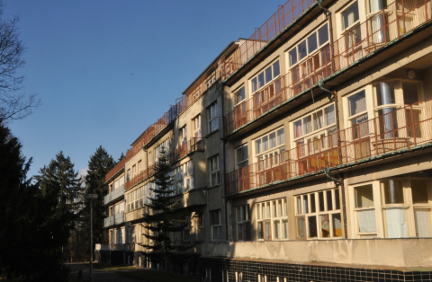 Ředitel cvikovské léčebny obhájil svoji pozici